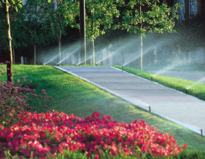 Commercial sprinklers and landscaping services in Virginia