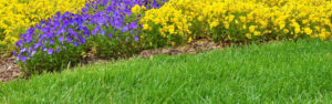 Landscaping design services in Virginia near me