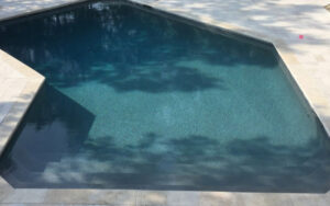 swimming pool contractor Weems